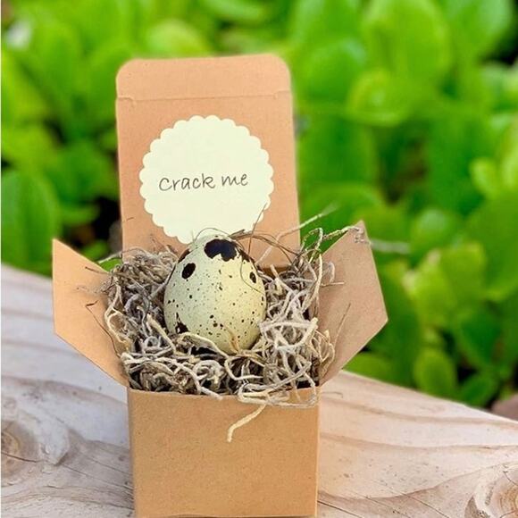 Pregnancy Announcement, Surprise! Quail Egg, unique baby announcement NIB Gift - Picture 2 of 8